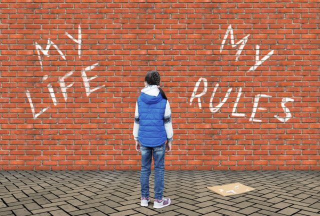 zelfregulerend systeem