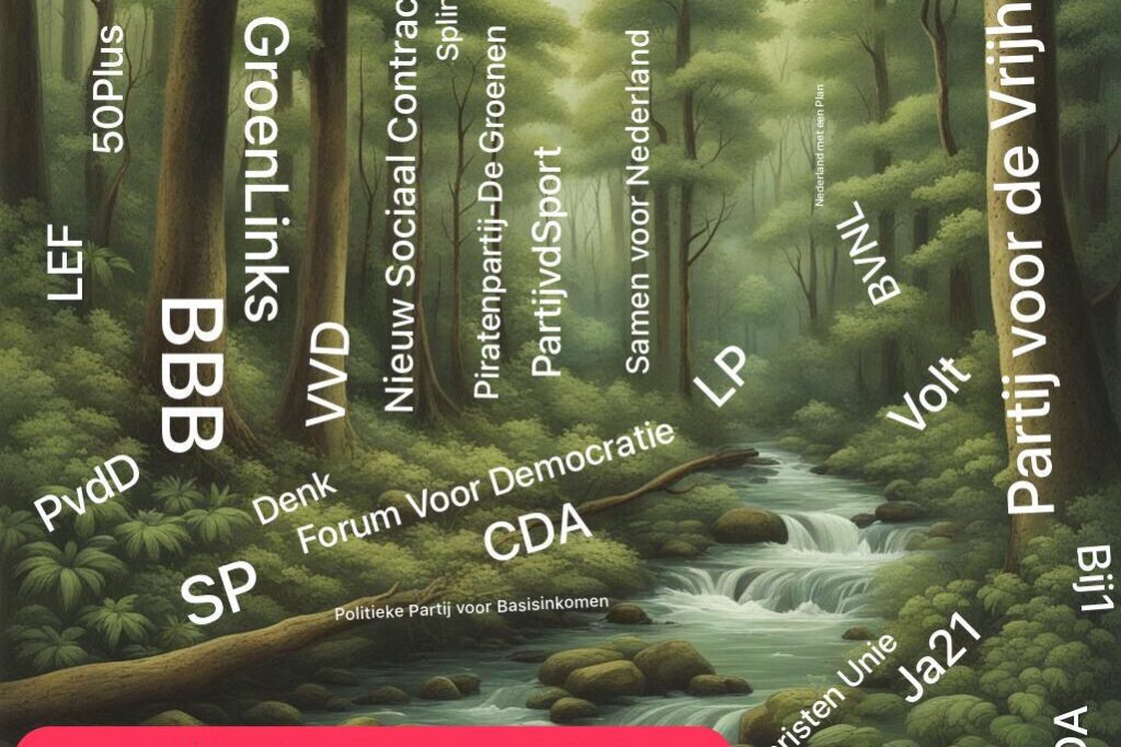 Bomen en bos bomen en bos