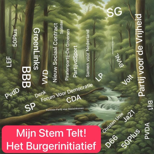 Bomen en bos bomen en bos